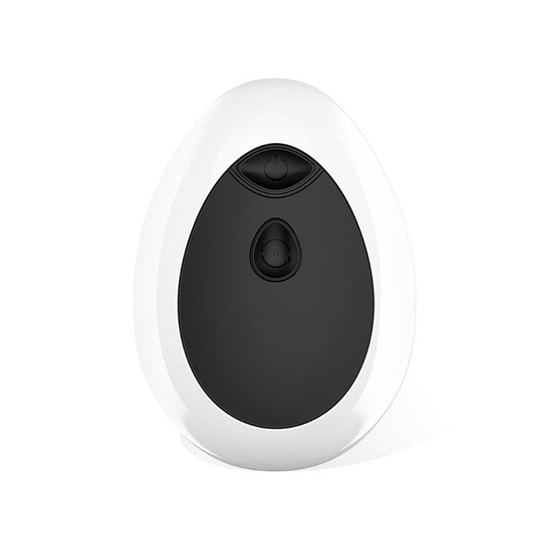 LATETOBED Dwen P-Spot Vibrator USB with Remote Control