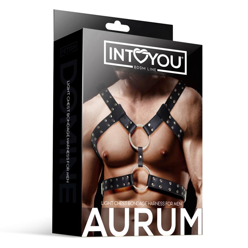 INTOYOU BDSM LINE Aurum Male Chest Bondage Harness Vegan Leather